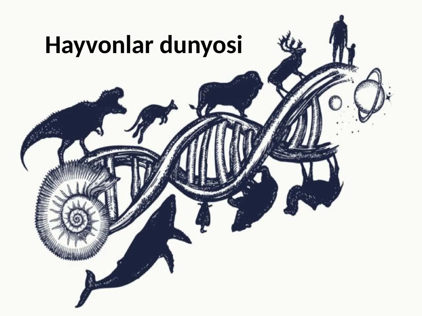 Hayvonlar dunyosi