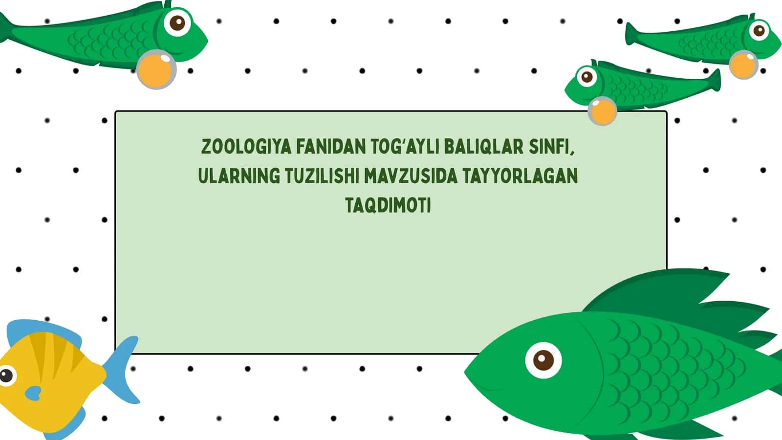 Togʻayli baliqlar sinfi taqdimoti