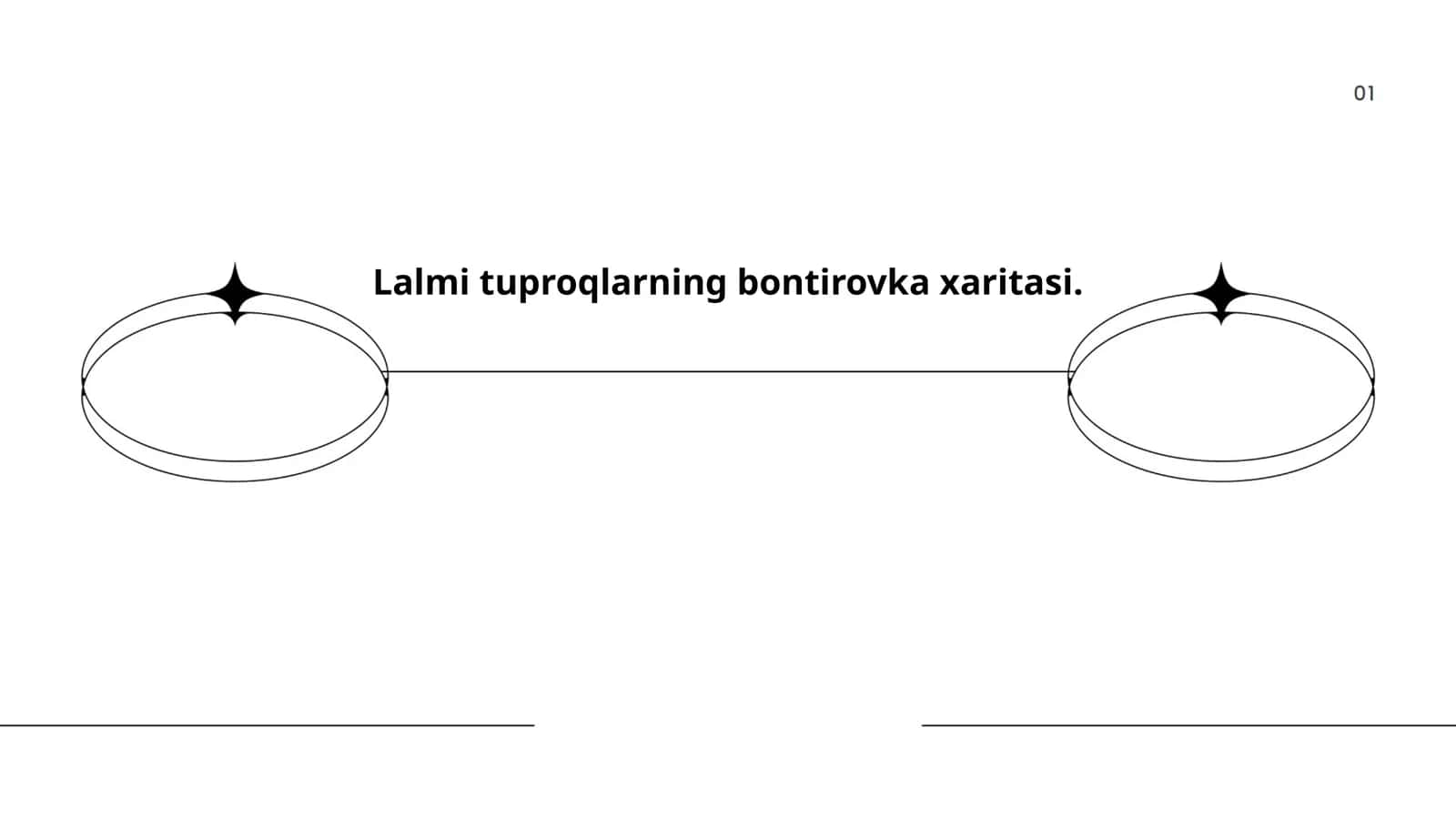 Lalmi tuproqlarning bontirovka xaritasi