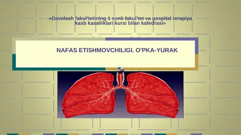 NАFАSETISHMОVCHILIGI.O'PKА-YURАK