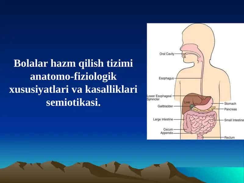 Ovqat hazm qilish tizimi