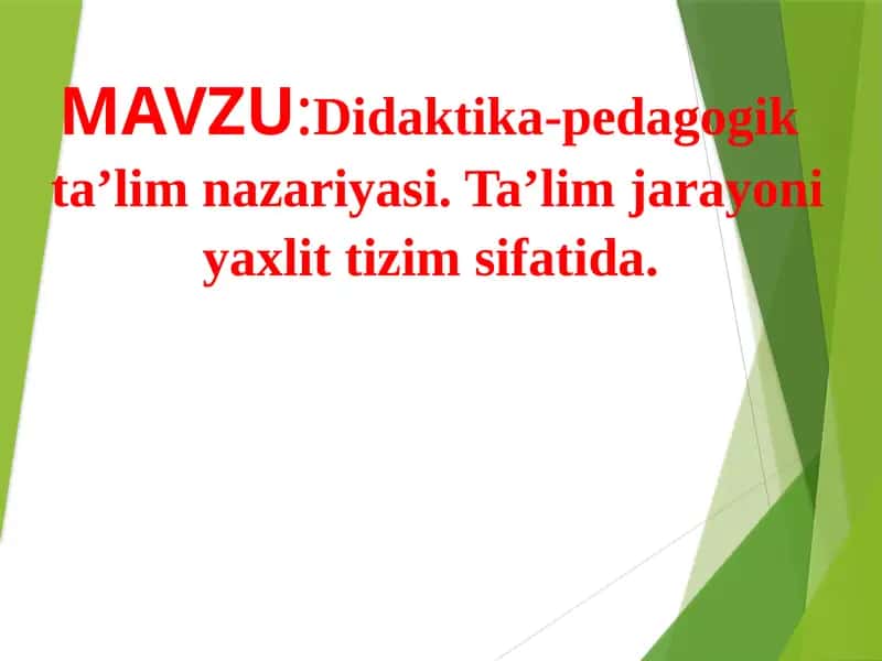 Didaktika-pedagogik ta'lim nazariyasi