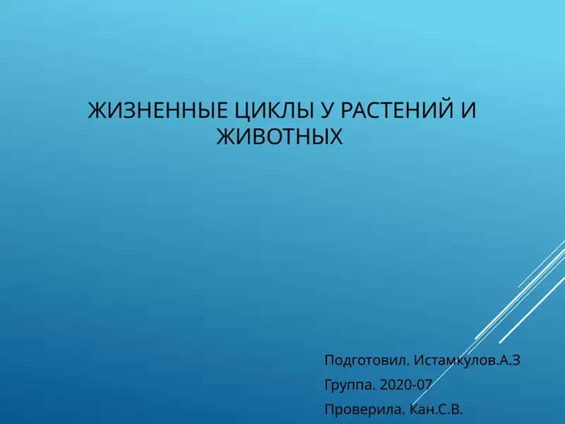 Жизненные циклы у растений и животных