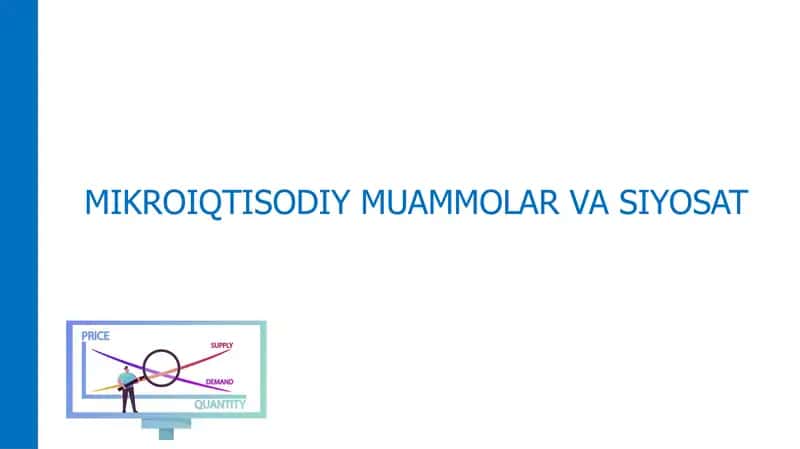 MIKROIQTISODIY MUAMMOLAR VASIYOSAT