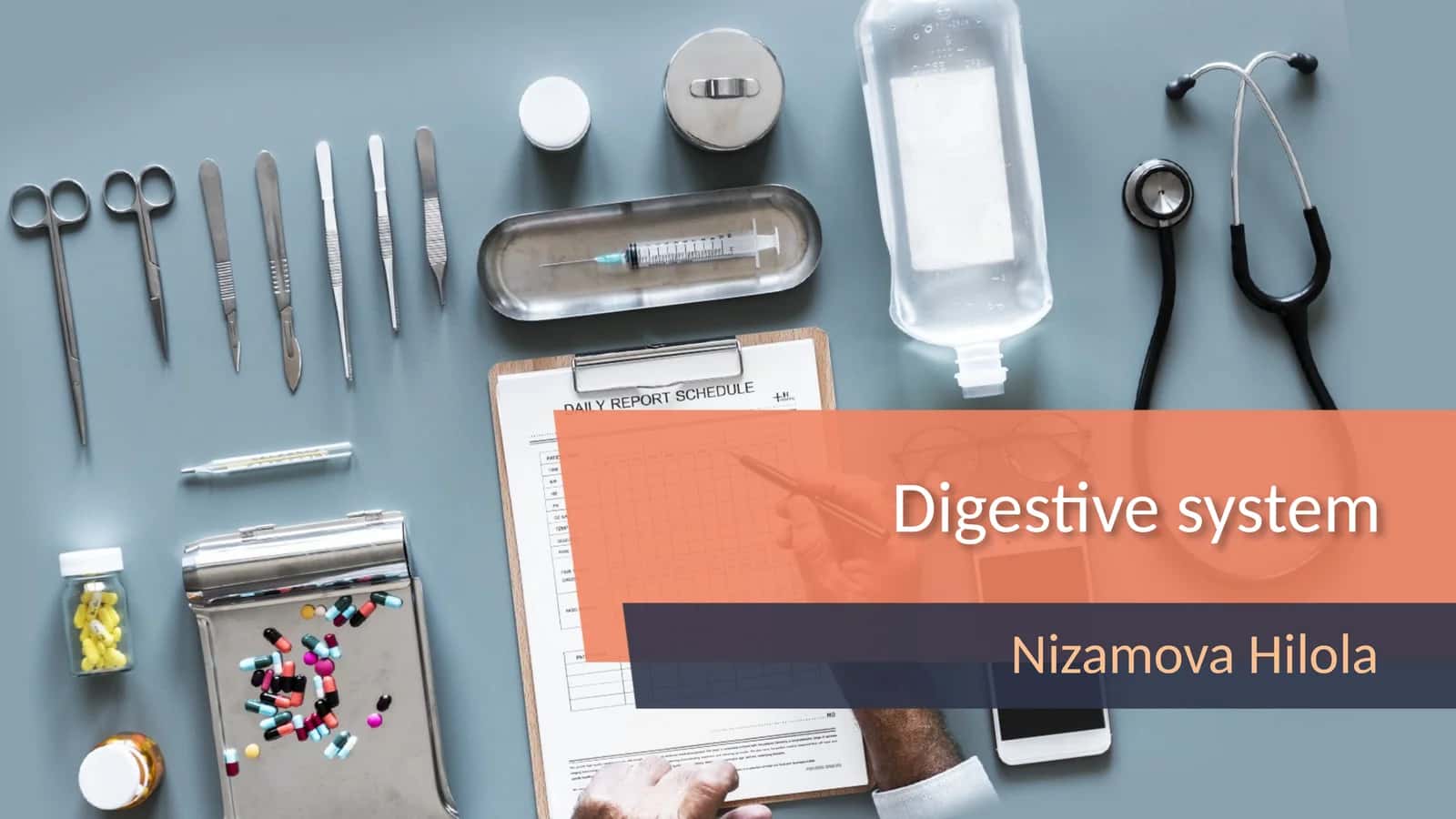 Digestive system