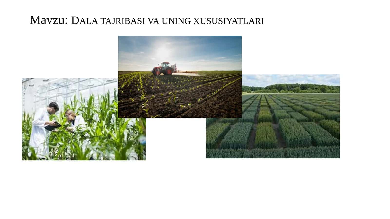 Dala tajribasi va uning xususiyatlari