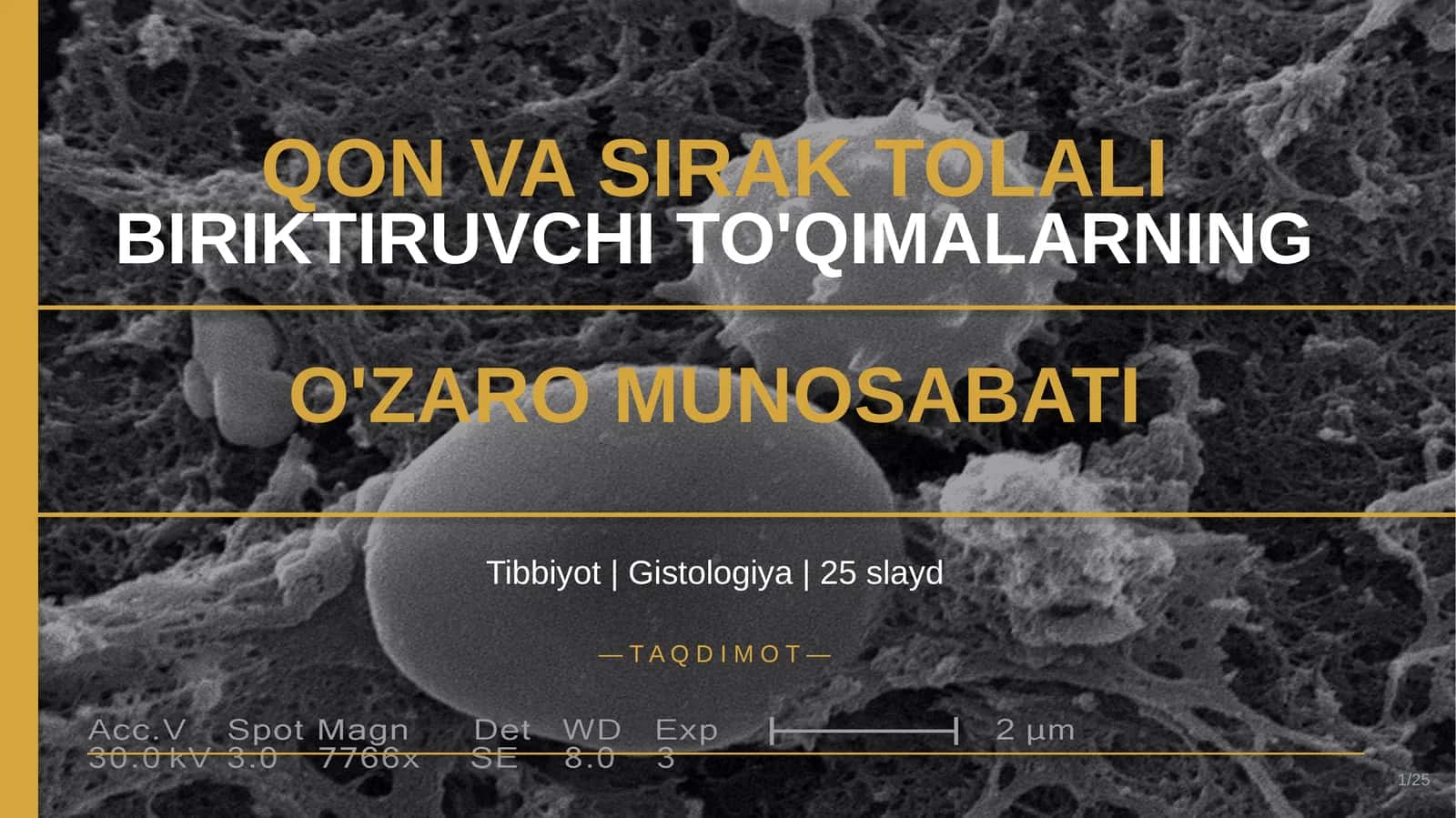 QON VA SIRAK TOLALI BIRIKTIRUVCHI TO'QIMALARNING O'ZARO MUNOSABATI