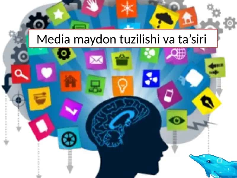 Media maydon tuzilishi va ta’siri