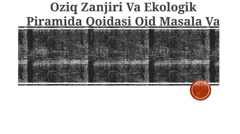Oziq Zanjiri Va Ekologik Piramida Qoidasi Oid Masala Va Mashqlar Tuzish Hamda Yechish Metodlari