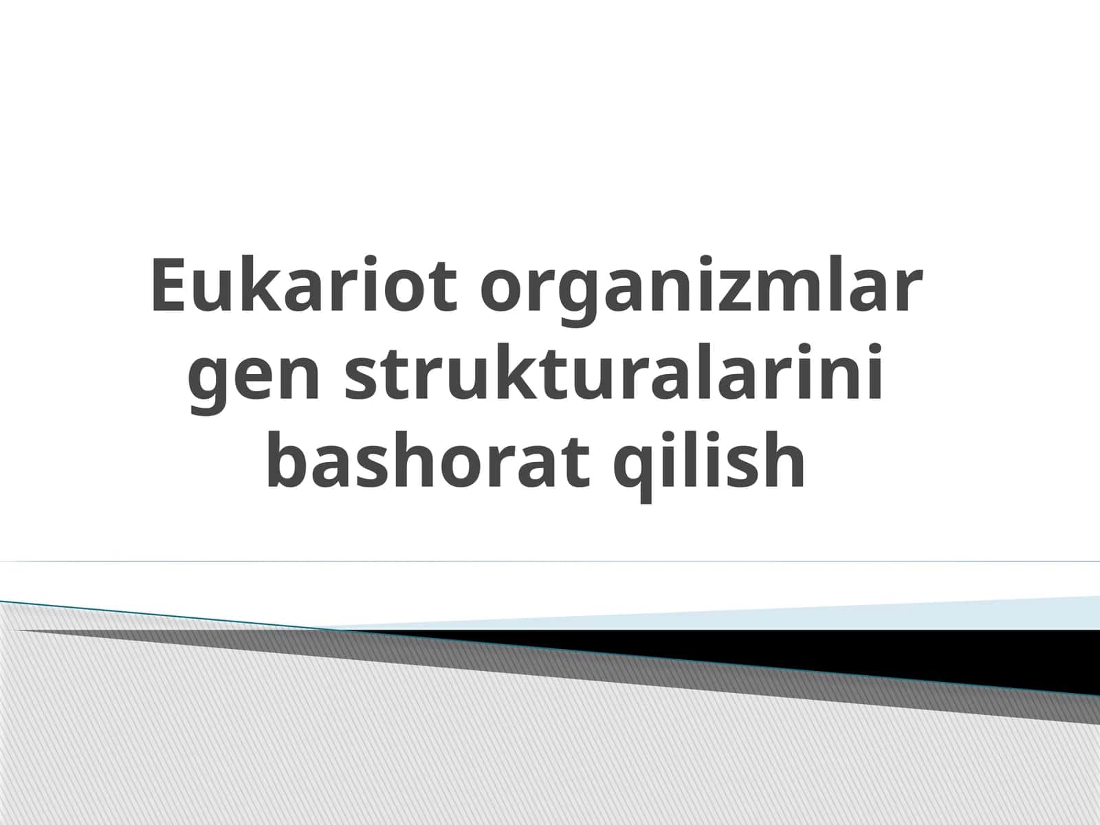 Eukariot organizmlar gen strukturalarini bashorat qilish