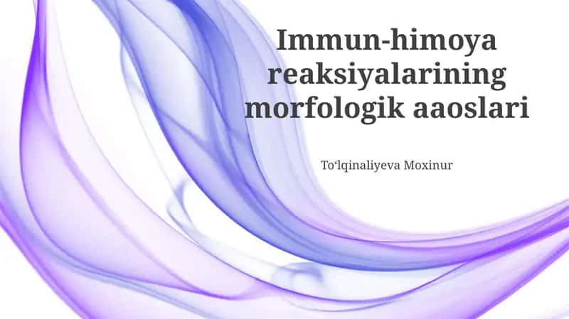 Suyak ko'migining morfologiyasi