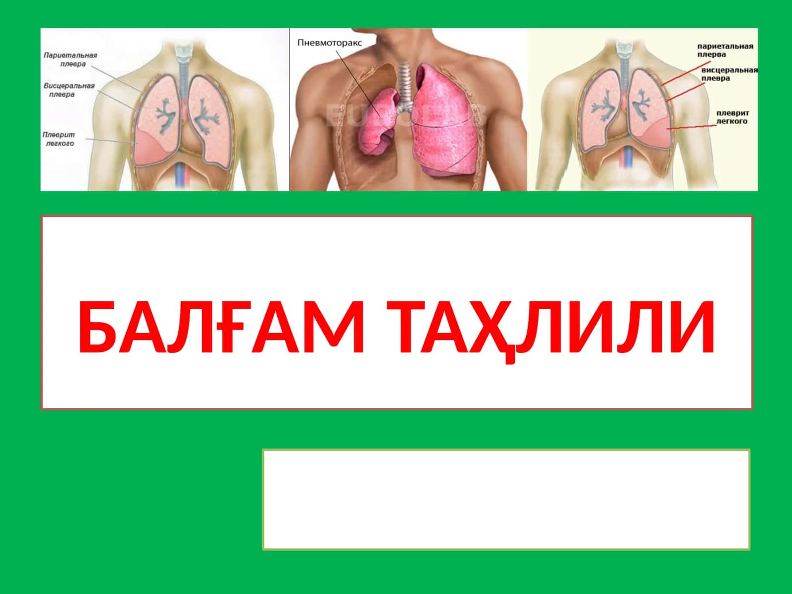 Балғам таҳлили