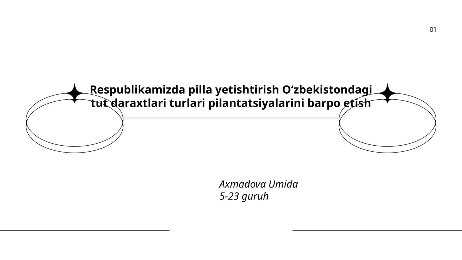 Pilla Yetishtirish Oʻzbekistondagi Tut Daraxtlari Turlari Pilantatsiyalarini Barpo Etish