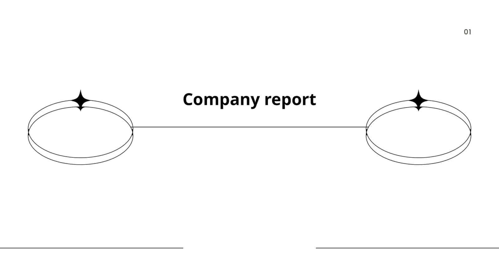Company report