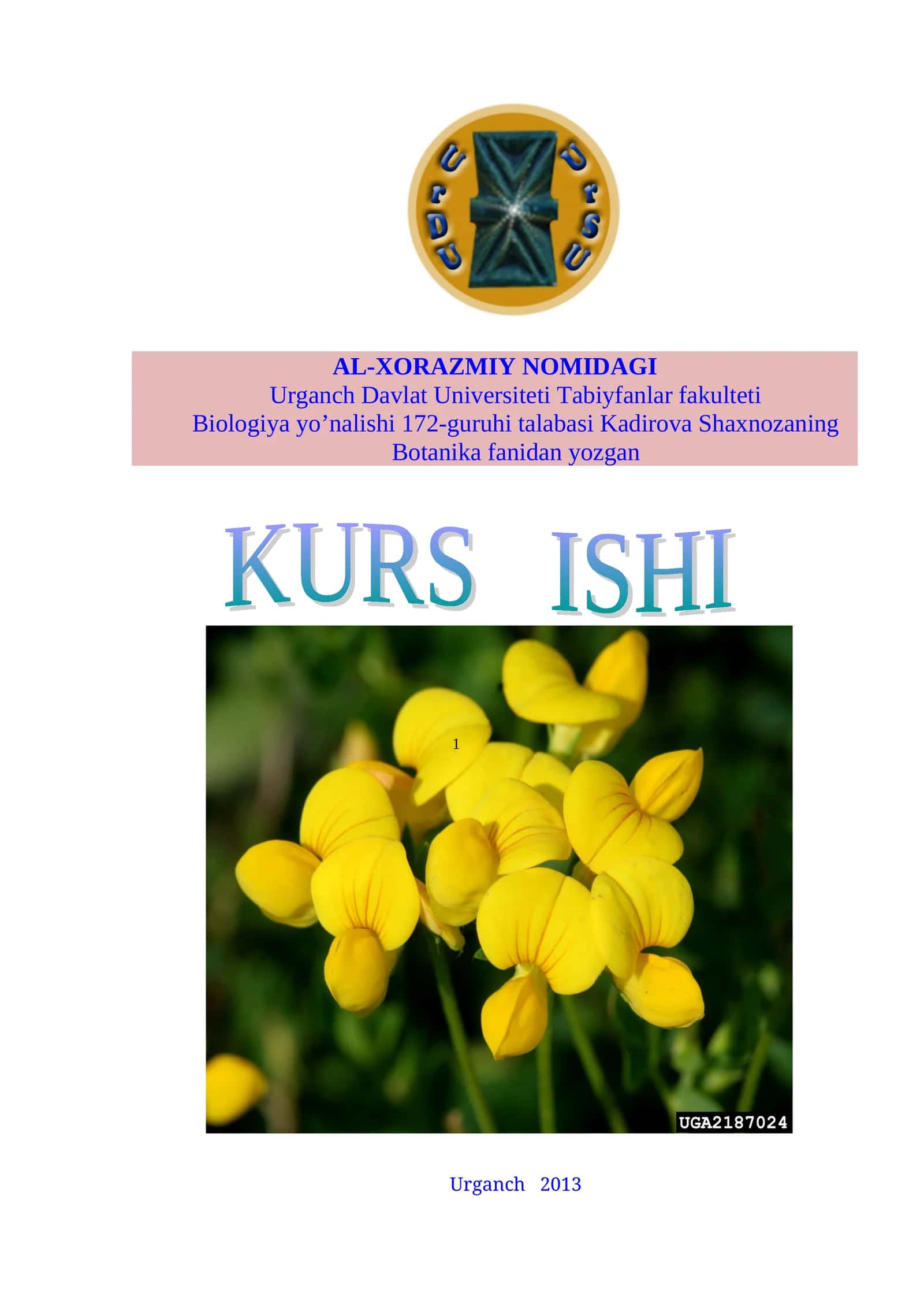 BURCHOQNAMOLAR QABILASI