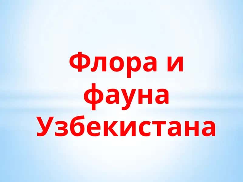 Флора и фауна Узбекистана