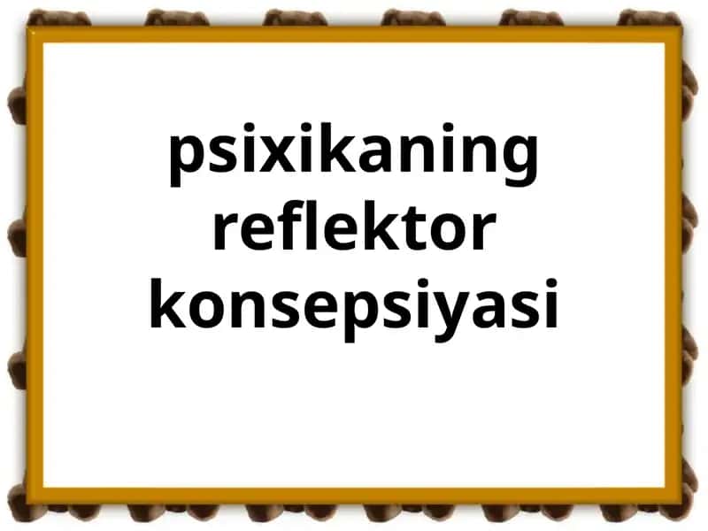 Psixikaning reflektor konsepsiyasi