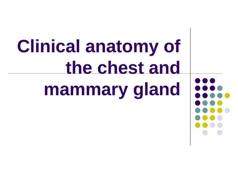 Сlinical anatomy of the chest and mammary gland