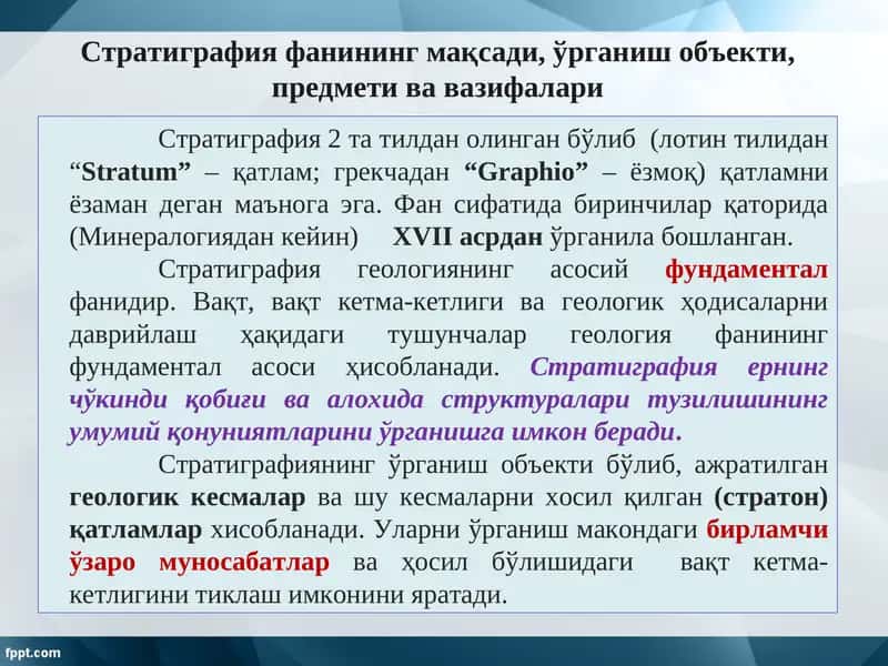 Стратиграфия фани