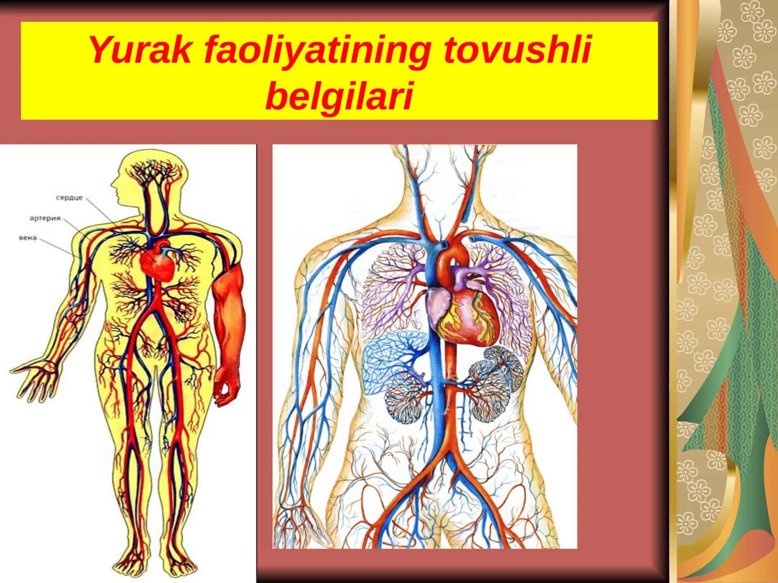 Yurak faoliyatining tovushli belgilari