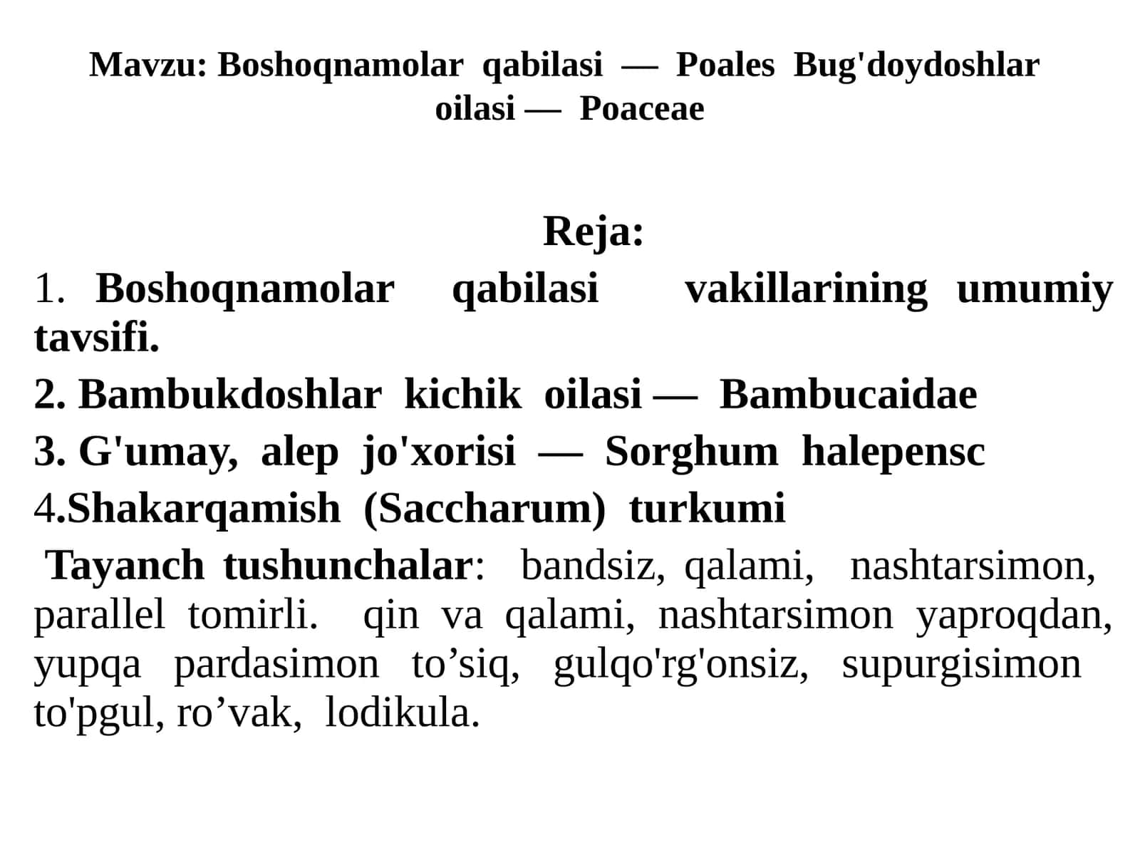 Boshoqnamolar qabilasi—Poales Bug'doydoshlar oilasi—Poaceae