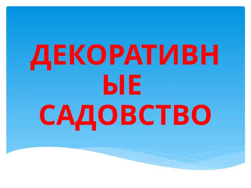 ДЕКОРАТИВНЫЕ САДОВСТВО