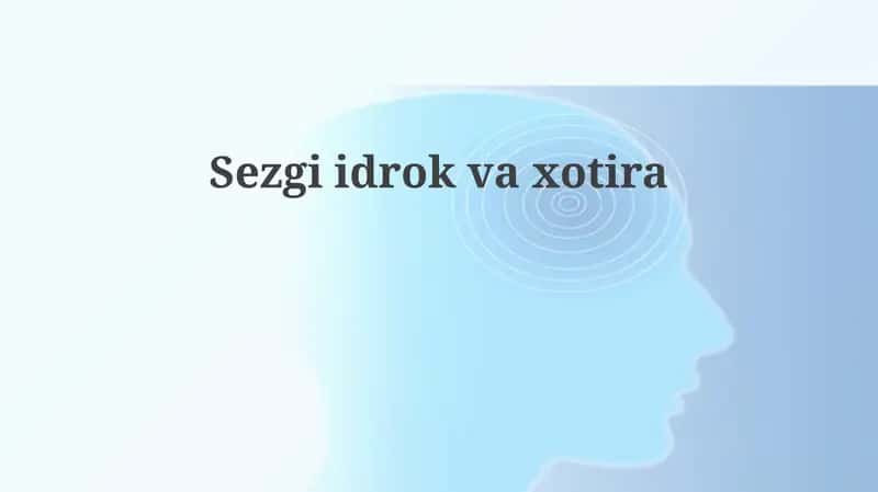 Sezgiidrokvaxotira