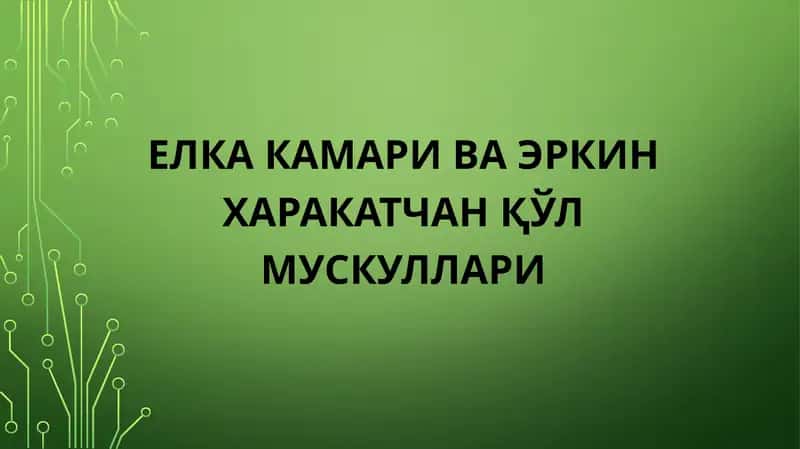 Елка камари ва Эркин харакатчан қўл мускуллари