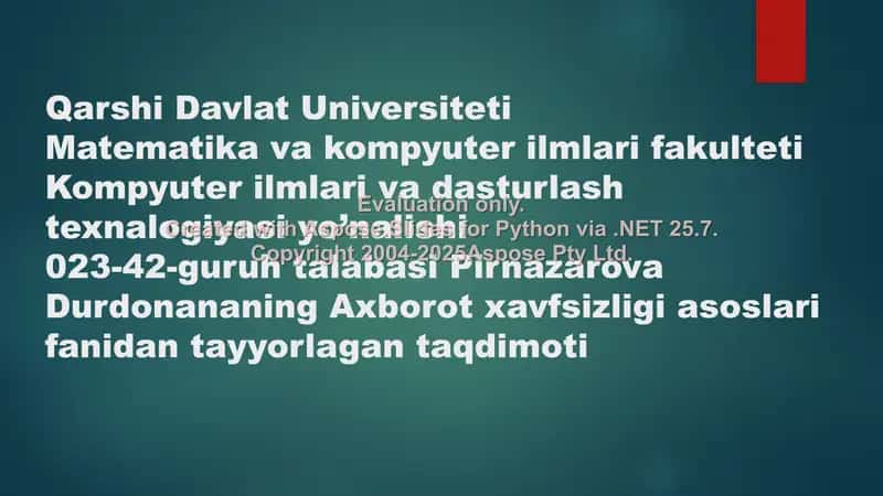 Xavfsizlik muammosi