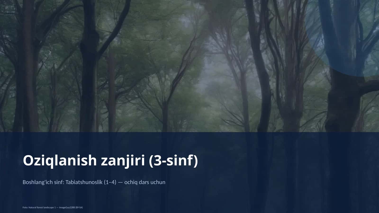 Oziqlanish zanjiri (3-sinf)
