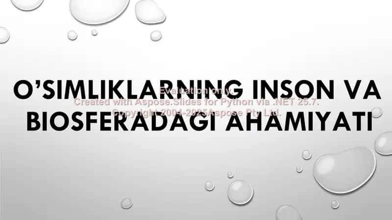 O’simliklarning inson va biosferadagi ahamiyati