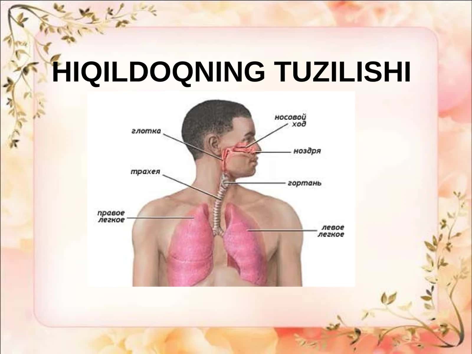HIQILDOQNING TUZILISHI