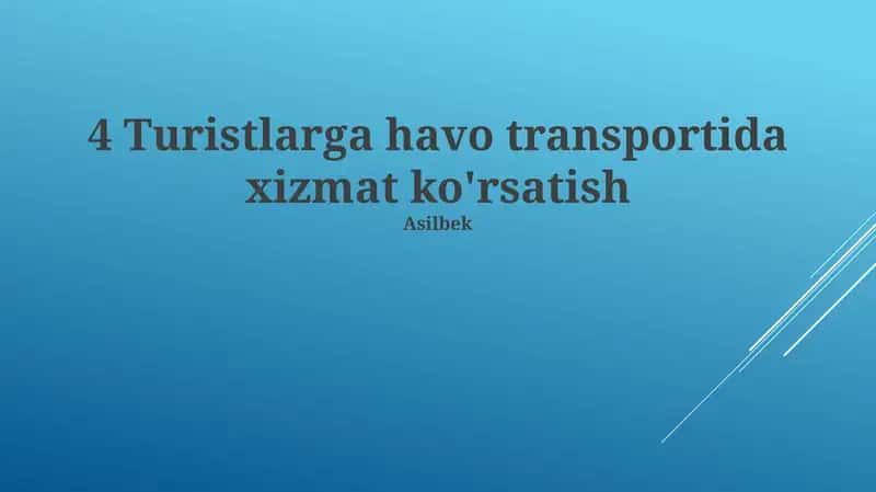 Turistlarga havo transportida xizmat ko'rsatish