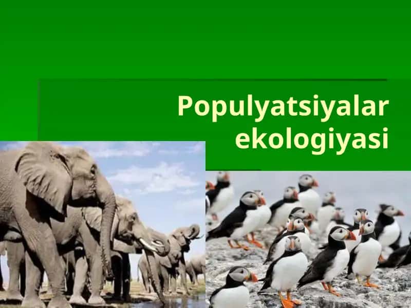 Populyatsiyalar ekologiyasi