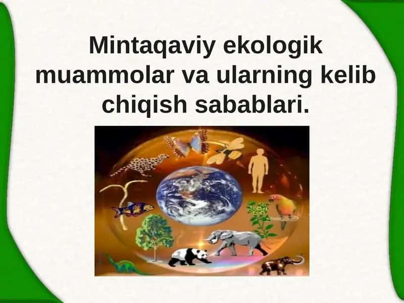 Mintaqaviy ekologik muammolar va ularning kelib chiqish sabablari