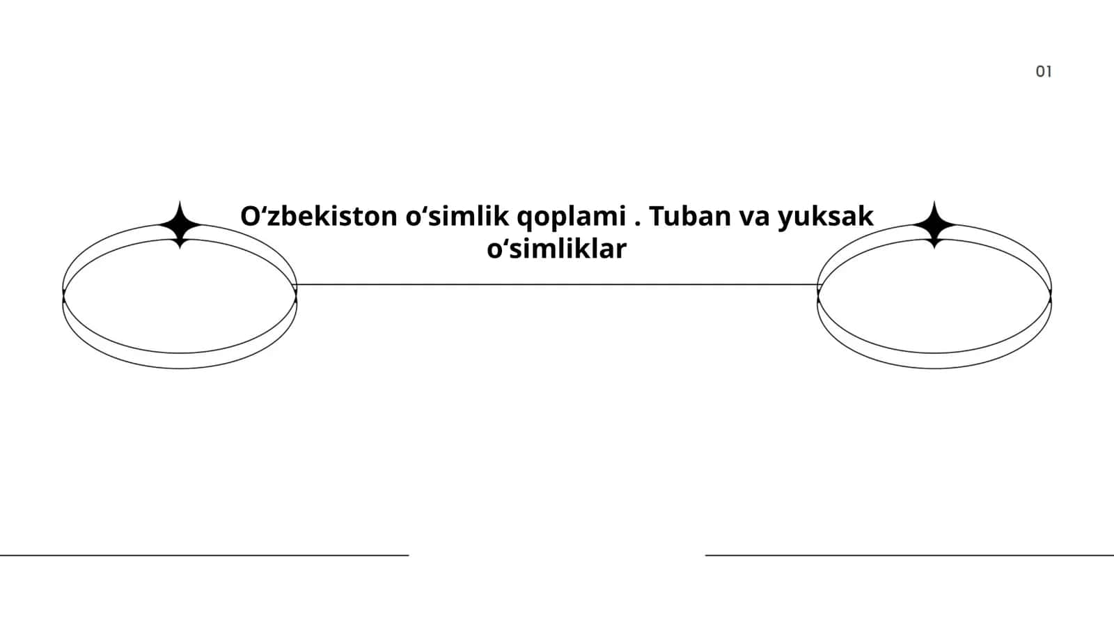 Oʻzbekiston oʻsimlik qoplami. Tuban va yuksak oʻsimliklar