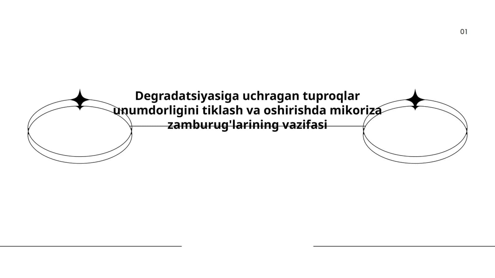Degradatsiyasiga uchragan tuproqlar unumdorligini tiklash va oshirishda mikoriza zamburug'larining vazifasi