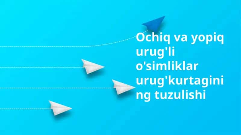 Ochiq va yopiq urug'li o'simliklar urug'kurtagining tuzulishi