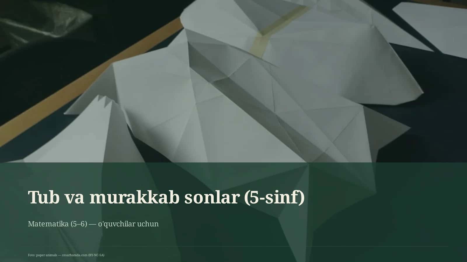Tub va murakkab sonlar (5-sinf)