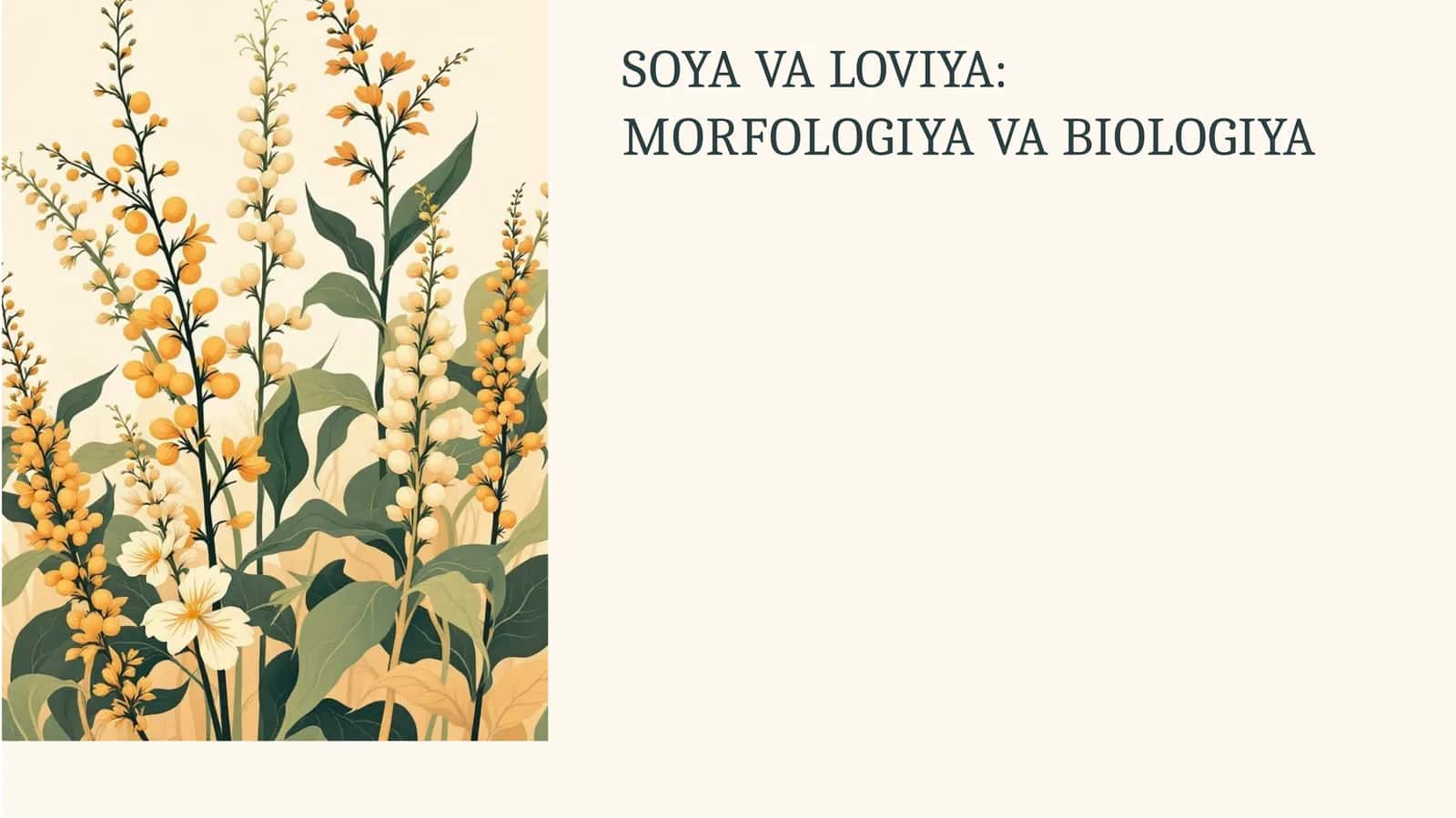 Soya va Loviyaning Asosiy Xususiyatlari