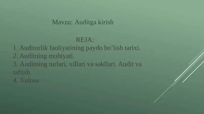 Auditga kirish