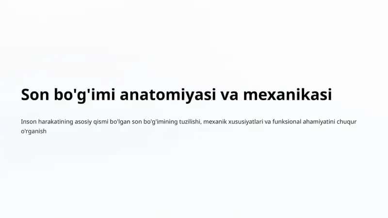 Son bo'g'imi anatomiyasi va mexanikasi