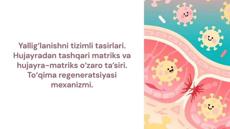 Yallig‘lanishni tizimli tasirlari. Hujayradan tashqari matriks va hujayra-matriks o‘zaro ta’siri. To‘qima regeneratsiyasi mexanizmi.