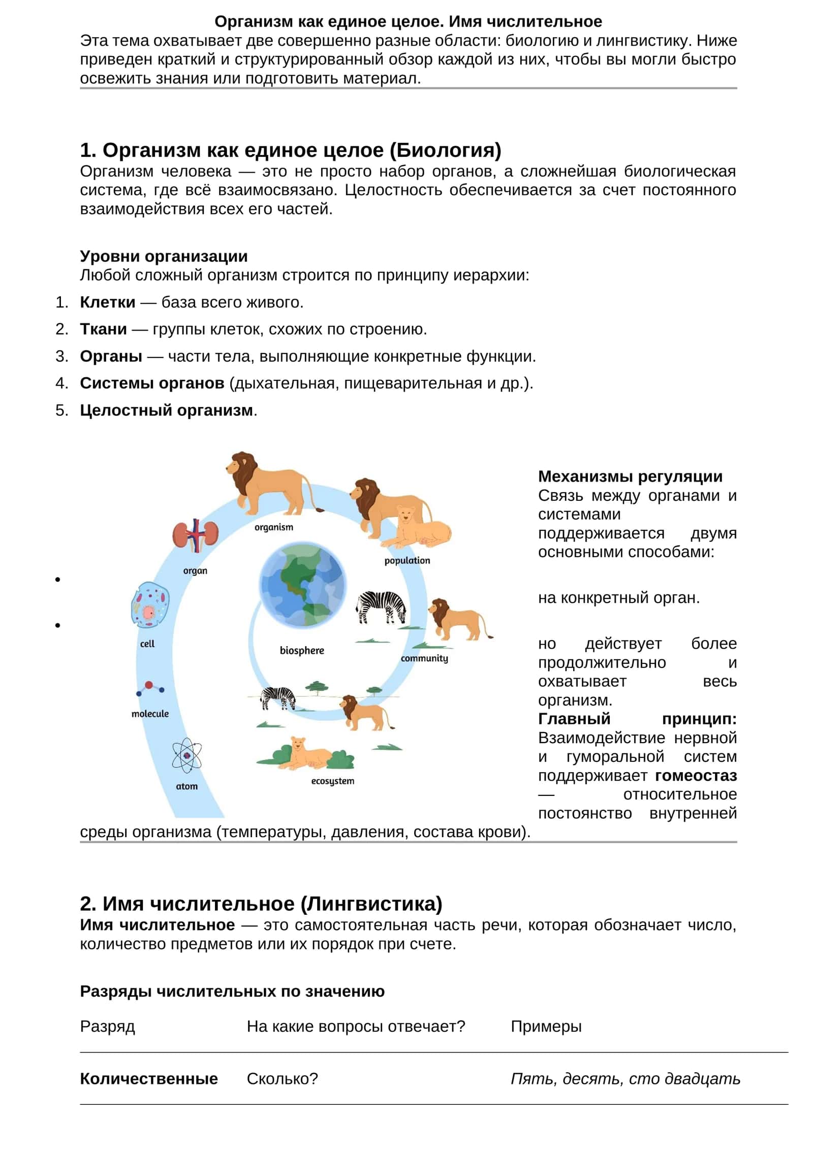 Организм как единое целое. Имя числительное