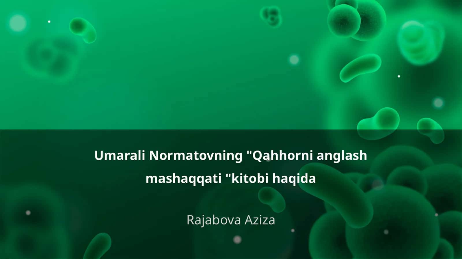 Qahhorni anglash mashaqqati kitobi haqida
