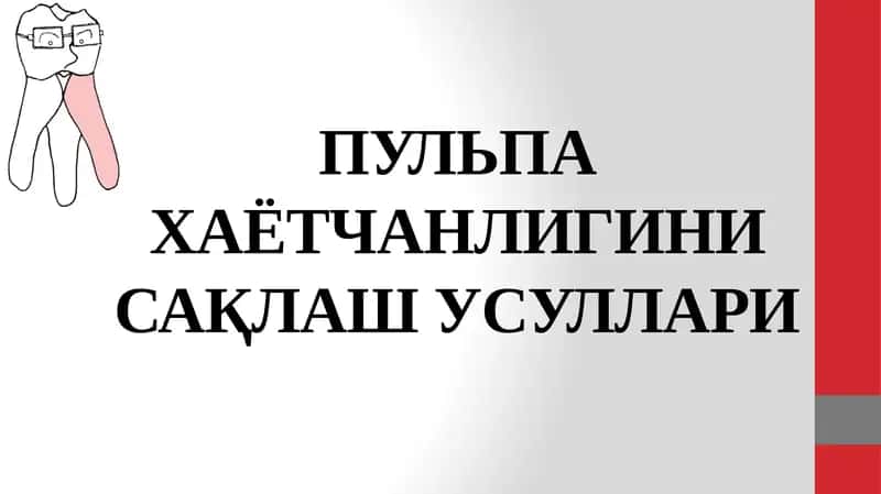 ПУЛЬПА ХАЁТЧАНЛИГИНИ САҚЛАШ УСУЛЛАРИ
