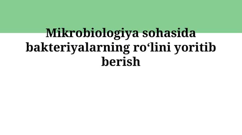 Bakteriyalar