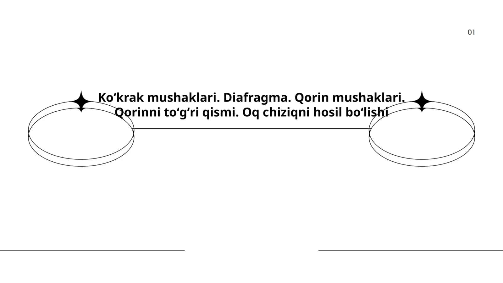 Koʻkrak mushaklari anatomiyasi