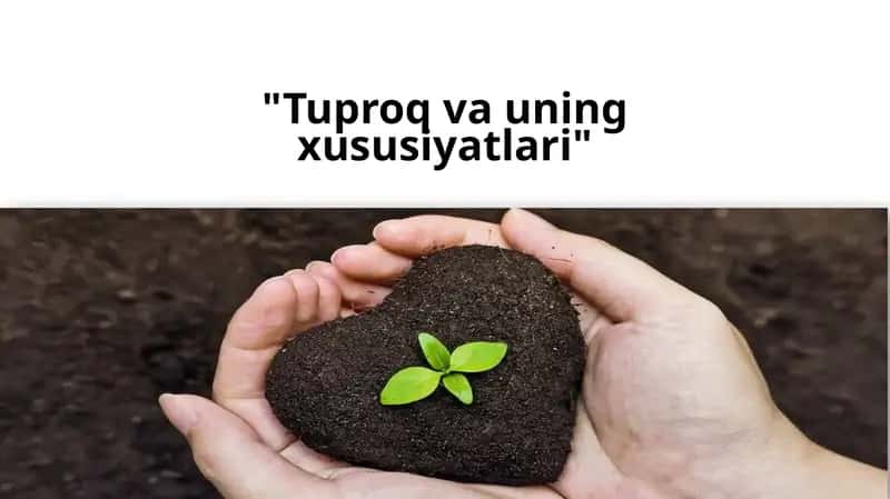 Tuproq va uning xususiyatlari
