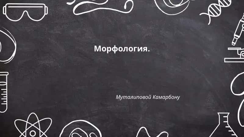 Морфология. Муталиповой Камарбону